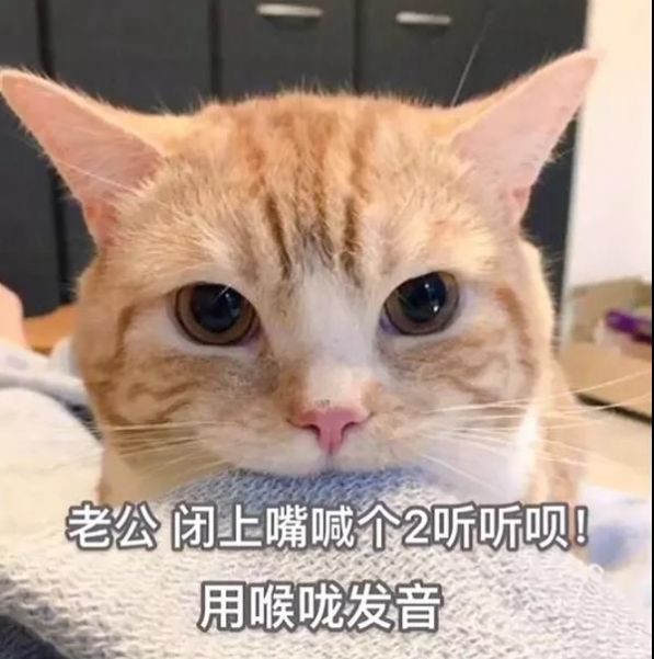 肾虚就肾虚有什么不敢承认的表情包大全图1