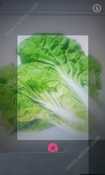 拍照识物APP图1