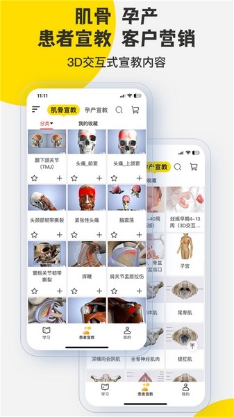 3Dbody解剖图1