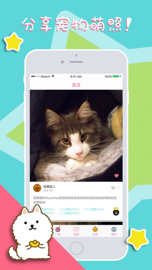 喵狗说app正式版  v3.0图3