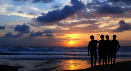 帅同社区2022合集