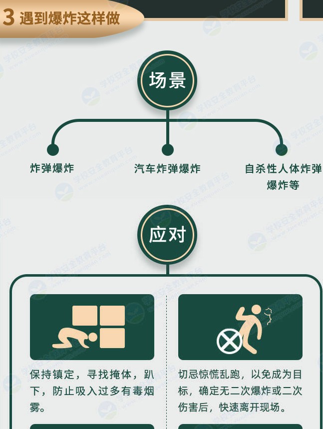 2020年全国中小学生幼儿防范恐怖袭击专题教育平台登录官方版  v1.8.7图2