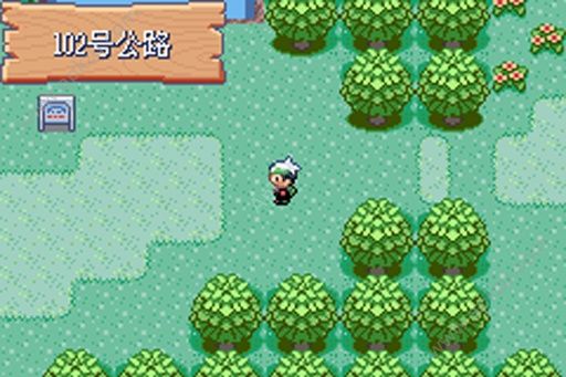 口袋妖怪绿宝石kaizo汉化版金手指下载  v1.1图1