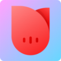 有灵社交安卓版