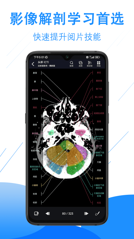 影像解剖图谱图2