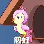 七夕布谷鸟不孤不孤表情包图1