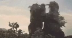 什么？刚刚给我做的不是核酸检测女主表情包动态图片素材下载  v1.0图3