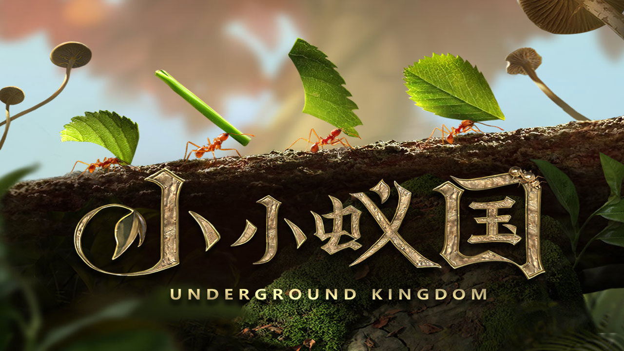 小小蚁国游戏合集