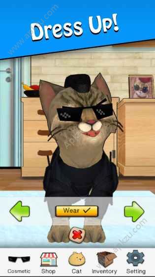 狂刷猫咪金币安卓版 v1.41图2