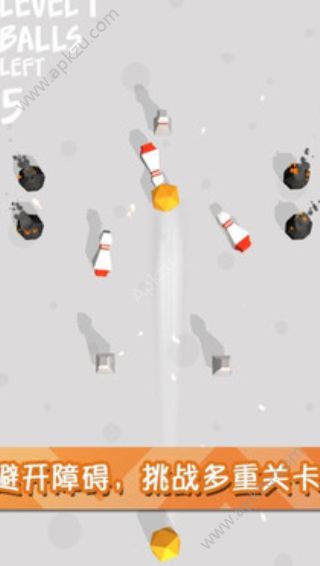 迷你保龄球3D游戏完整版  v1.2图3