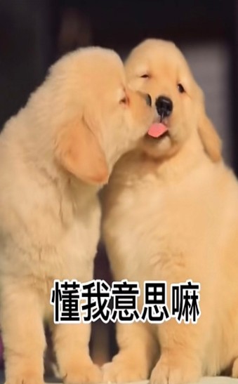 出来约会呀我馋你了表情包图3