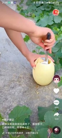 南猴短视频app最新版下载  v1.0.1图1