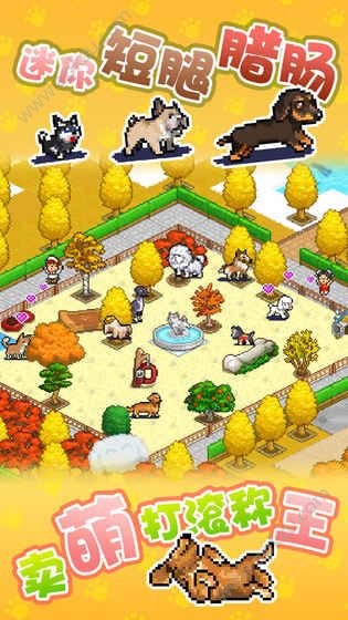 发现汪星人开罗手游官网图1