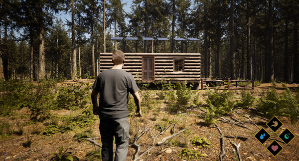 Wilderness游戏图4