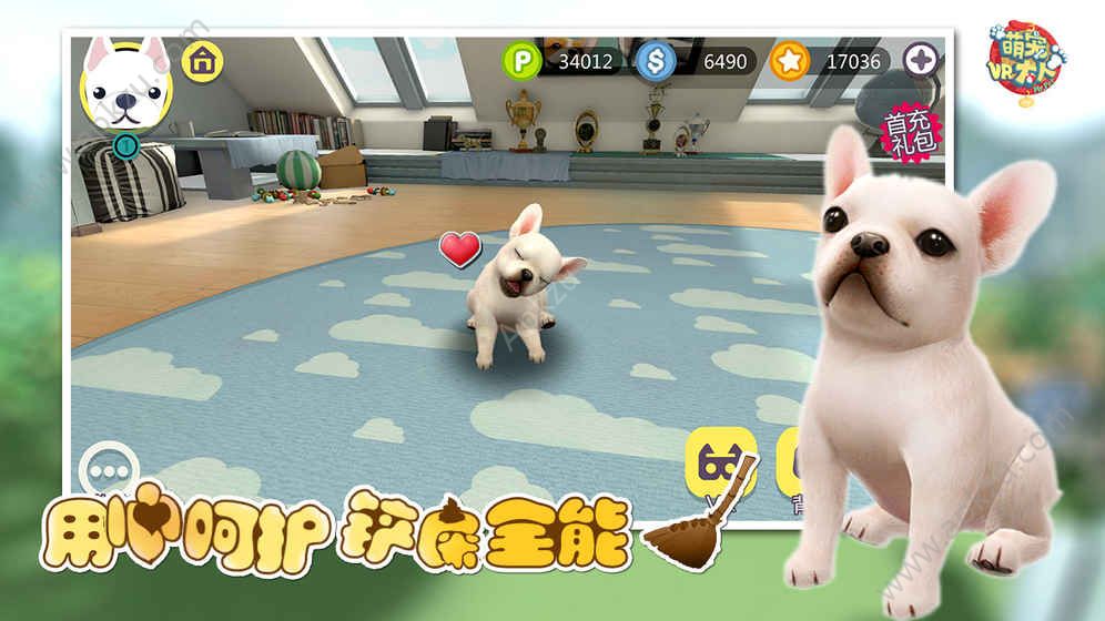萌宠驾到VR金币安卓版  v0.8.0图1
