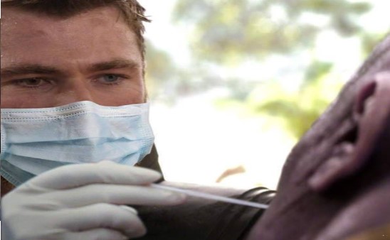 抖音抵抗力再强也要做核算检测表情包图2