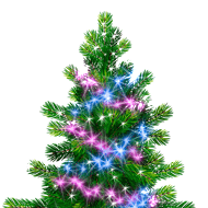 微信朋友圈发圣诞树程序单文件版图1