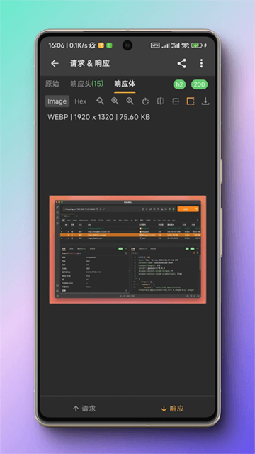 黄鸟抓包蓝色版图3