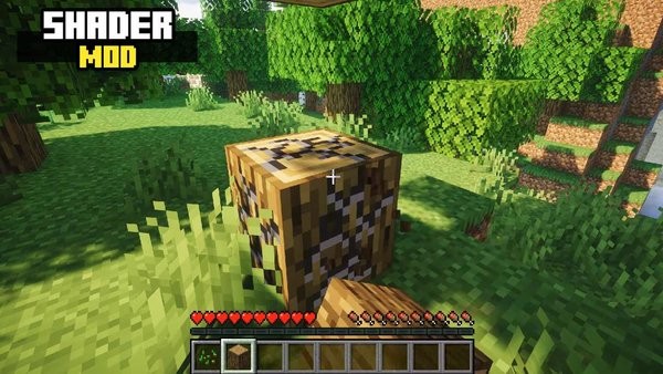 ShaderMods图2