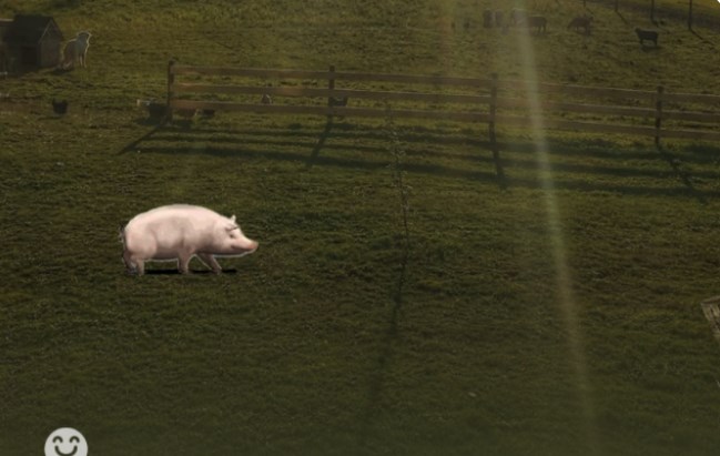 微信农场养猪游戏合集