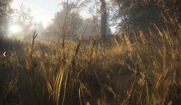 epic猎人荒野的召唤中文补丁图2