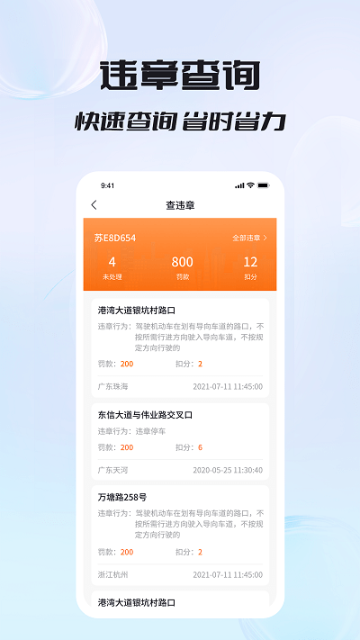 闪电车辆信息查询图2