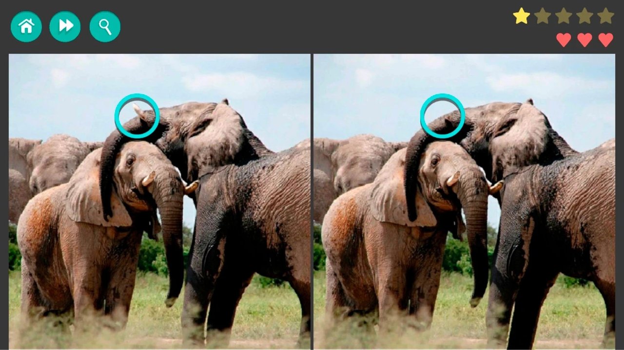 找到差异200级安卓版图2