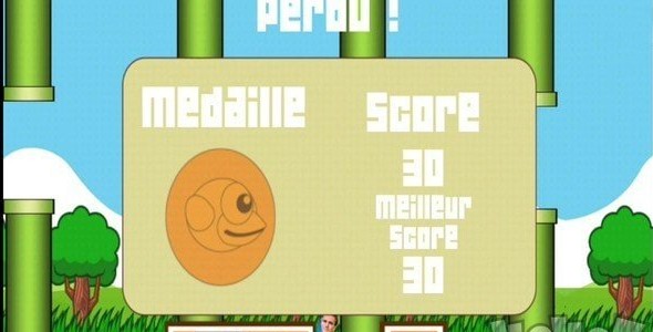 飞翔一只鸟游戏图3