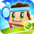 比特网球金币安卓版(Tennis Bits)  v1
