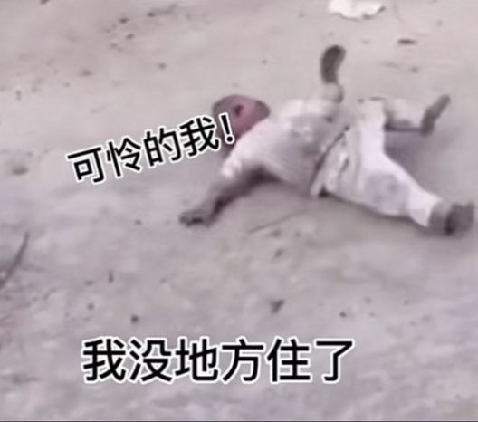 你把我家别墅炸没了赔钱抖音表情包动态图高清完整大全gif下载  v1.0图1