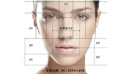 黄金比例脸特效合集