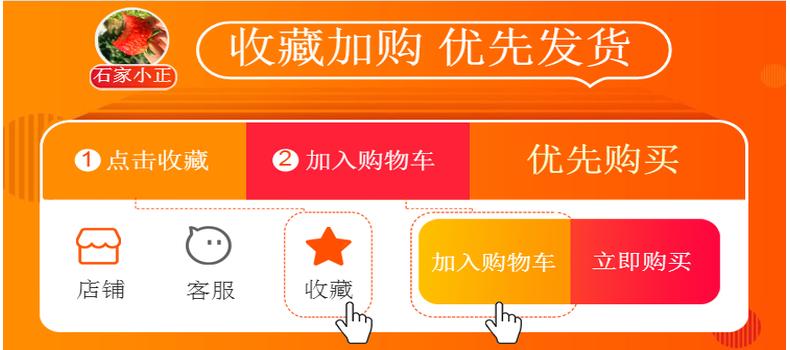 九九生活3.0合集大全