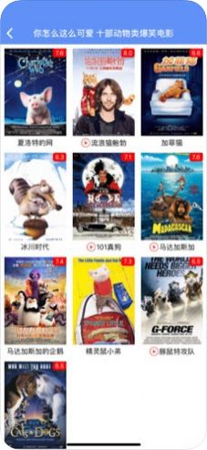 勿忘草视频app图2