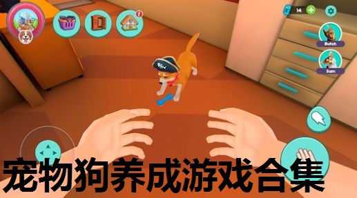 宠物狗养成游戏合集