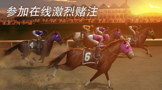 Photo Finish安卓中文版  v90.3图4