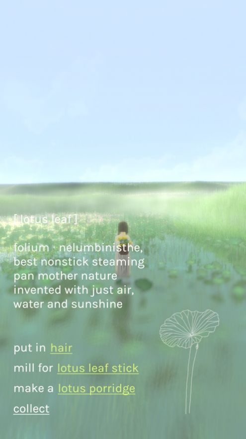 心旷之地攻略版图7