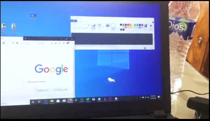 电脑桌面捣蛋鹅游戏图1