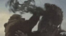 奥特曼大树小怪兽核酸表情包gif动图搞笑图片免费分享  v1.0图3