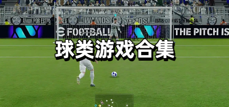 球类游戏合集