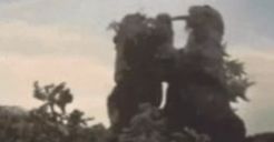 刚刚给我做的不是核酸检测女主？图片表情包高清下载  v1.0图3