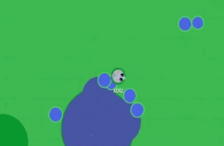 海洋生物进化游戏图2