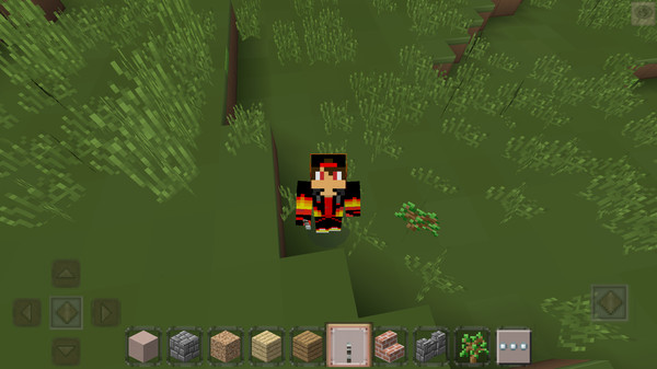 我的新世界游戏最新手机版  v1.0图2