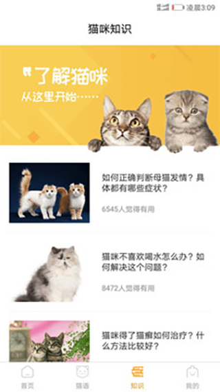 猫咪翻译器图1