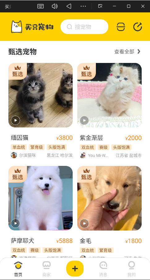 买只宠物安卓版图2