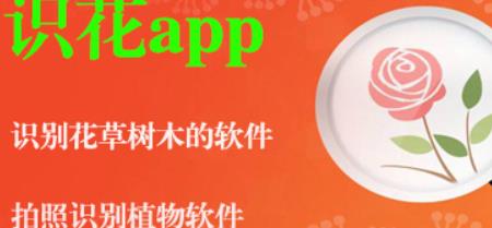 花卉识别软件