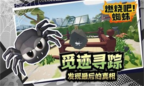 燃烧吧蜘蛛图3