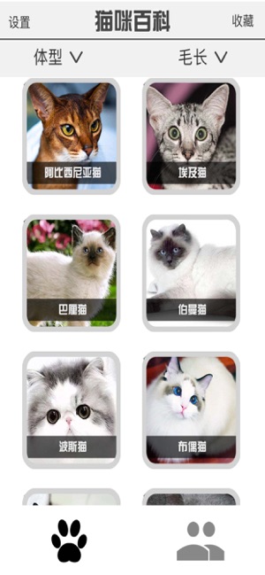 猫咪部落app官方最新下载  V1.0.0图3