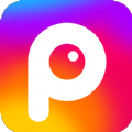 西红柿ovoP图软件app