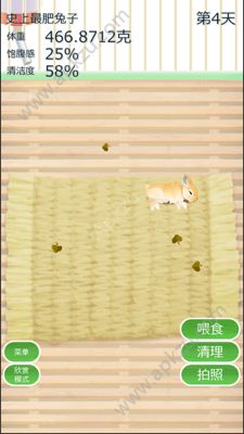 治愈兔兔养成汉化版图1