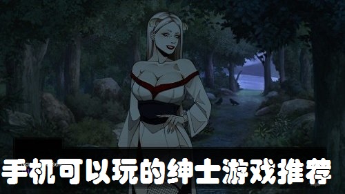 手机可以玩的绅士游戏推荐